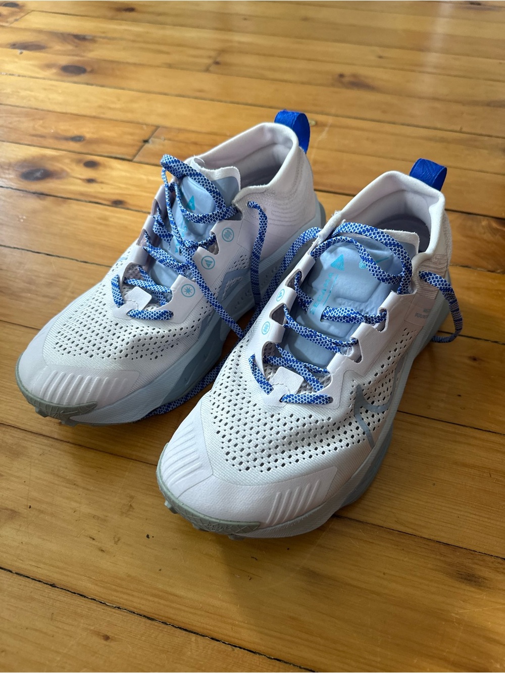 Nike ZoomX Zegama 'Pearl Pink Blue Whisper' Women’s Size 11 Trail Running Shoes